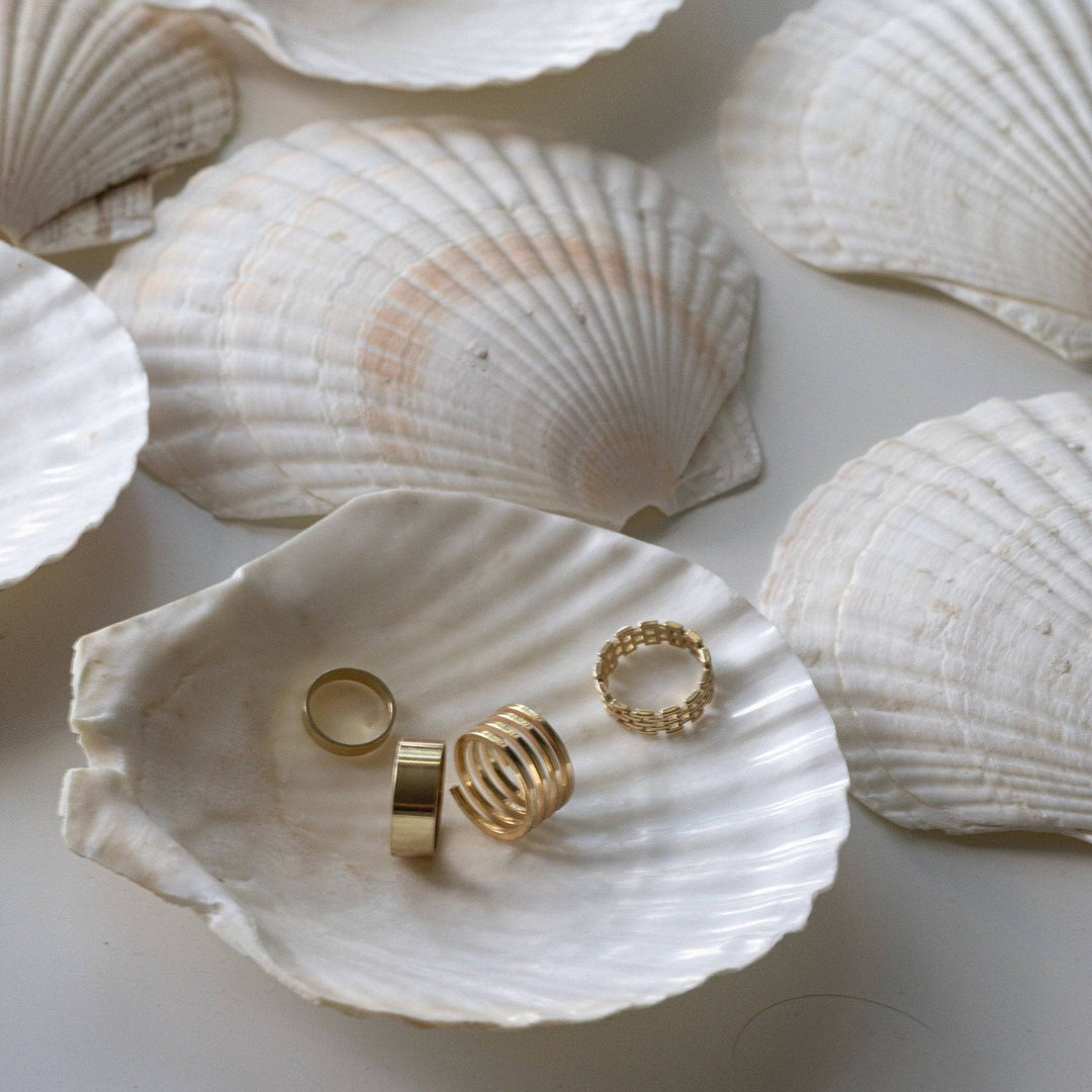 Shell Prop - Content Props