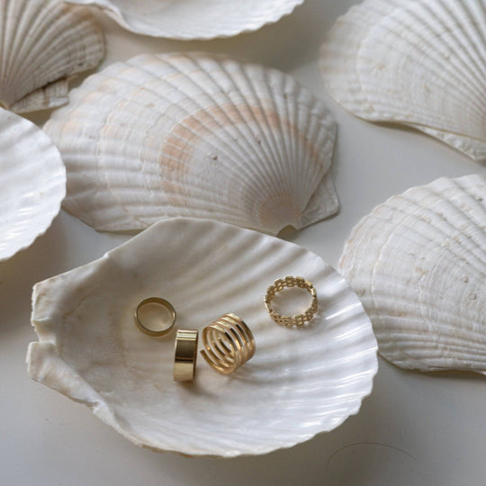 Shell Prop - Content Props