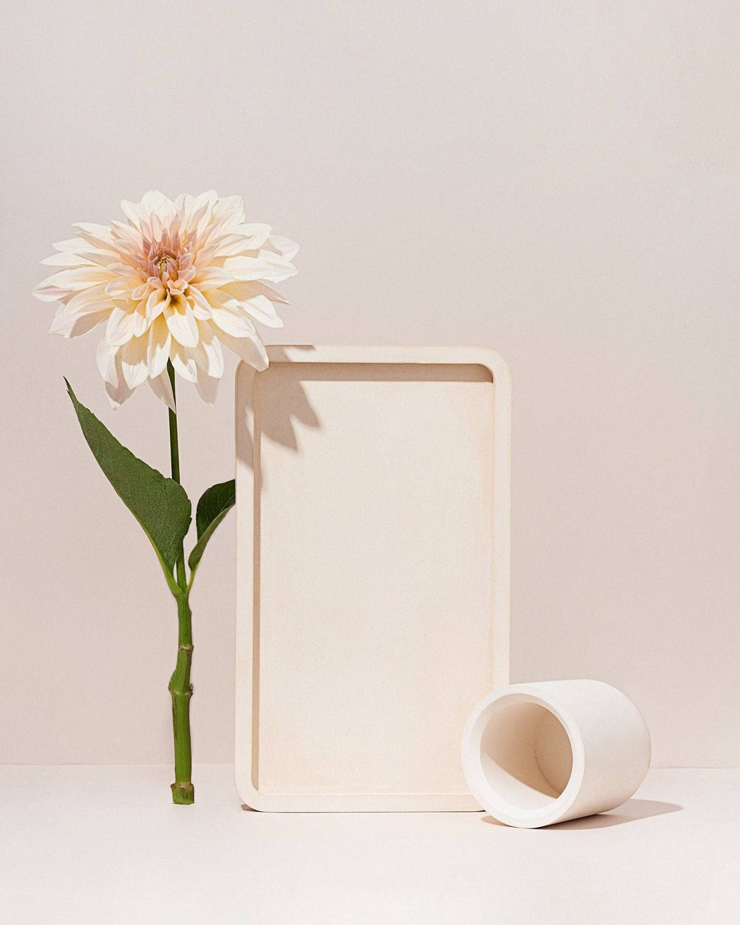 Rectangular Tray 27х16х2 cm - Content Props