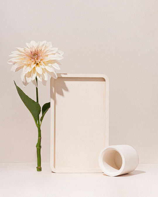 Rectangular Tray 27х16х2 cm - Content Props